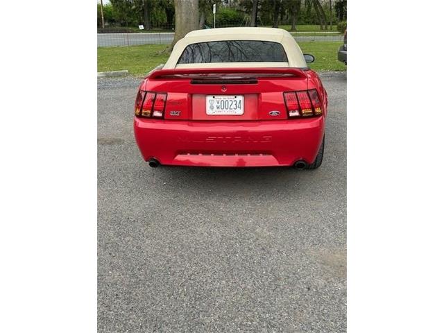 1999 Ford Mustang Cobra (CC-1837327) for sale in Carlisle, Pennsylvania
