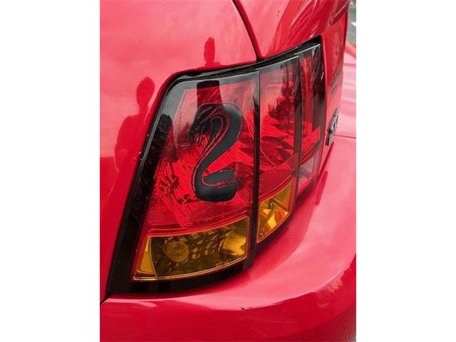 1999 Ford Mustang Cobra (CC-1837327) for sale in Carlisle, Pennsylvania