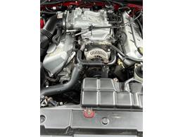 1999 Ford Mustang Cobra (CC-1837327) for sale in Carlisle, Pennsylvania