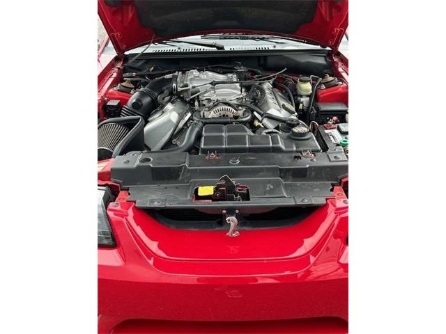 1999 Ford Mustang Cobra (CC-1837327) for sale in Carlisle, Pennsylvania