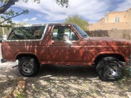 1982 Ford Bronco (CC-1837915) for sale in Albuquerque , New Mexico