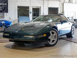 1995 Chevrolet Corvette (CC-1838061) for sale in Downers Grove, Illinois