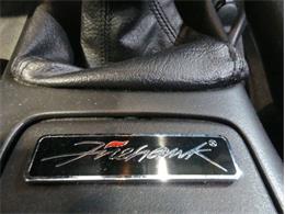 2002 Pontiac Firebird Trans Am (CC-1838311) for sale in Palmetto, Florida