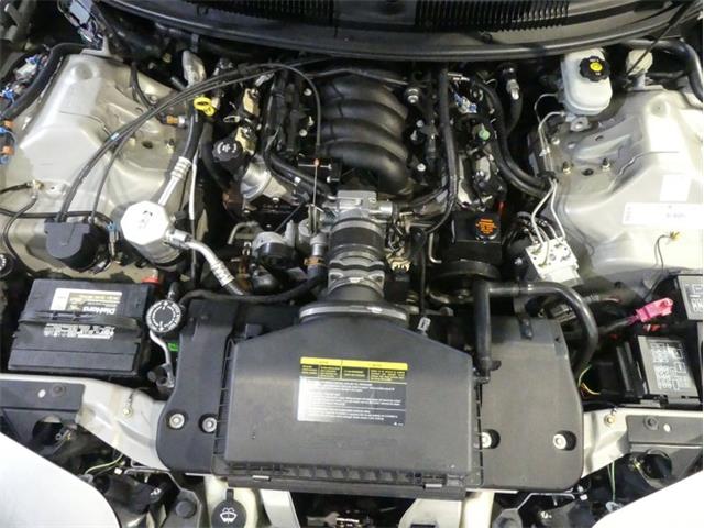 2002 Pontiac Firebird Trans Am (CC-1838311) for sale in Palmetto, Florida