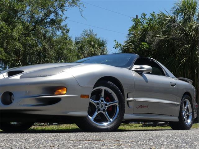 2002 Pontiac Firebird Trans Am (CC-1838311) for sale in Palmetto, Florida