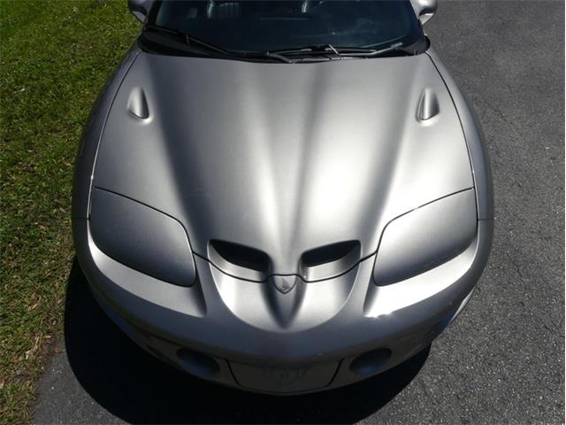 2002 Pontiac Firebird Trans Am (CC-1838311) for sale in Palmetto, Florida