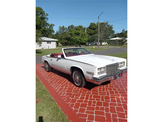 1984 Cadillac Eldorado (CC-1838651) for sale in Cadillac, Michigan