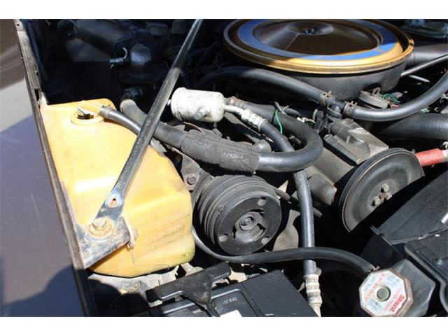 1976 Cadillac Seville (CC-1838936) for sale in Laguna Beach, California