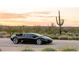 2006 Lamborghini Murcielago (CC-1838993) for sale in Scottsdale, Arizona