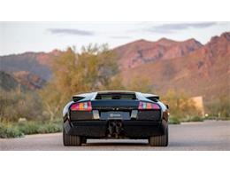 2006 Lamborghini Murcielago (CC-1838993) for sale in Scottsdale, Arizona