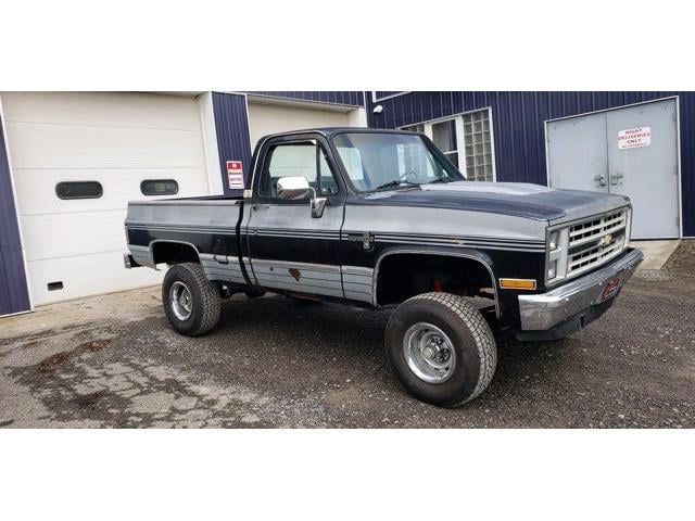 1987 Chevrolet Pickup (CC-1839150) for sale in Cadillac, Michigan