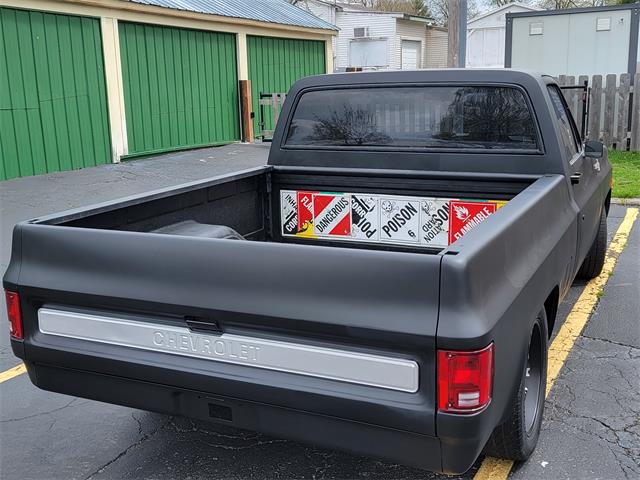 1979 Chevrolet C10 (CC-1839830) for sale in Hainesville, Illinois
