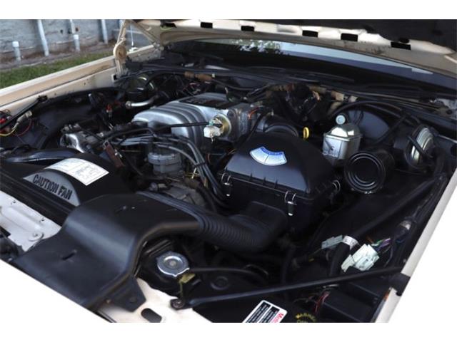 1987 Ford Crown Victoria (CC-1839965) for sale in Cadillac, Michigan