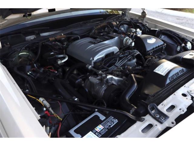 1987 Ford Crown Victoria (CC-1839965) for sale in Cadillac, Michigan