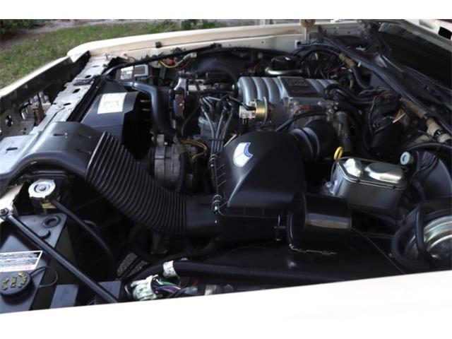 1987 Ford Crown Victoria (CC-1839965) for sale in Cadillac, Michigan