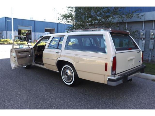 1987 Ford Crown Victoria (CC-1839965) for sale in Cadillac, Michigan
