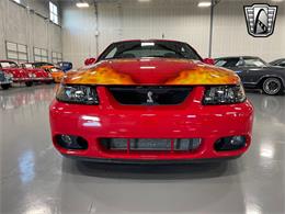 2003 Ford Mustang (CC-1840011) for sale in O'Fallon, Illinois