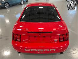 2003 Ford Mustang (CC-1840011) for sale in O'Fallon, Illinois