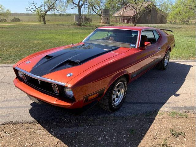 1973 Ford Mustang (CC-1841509) for sale in Fredericksburg, Texas