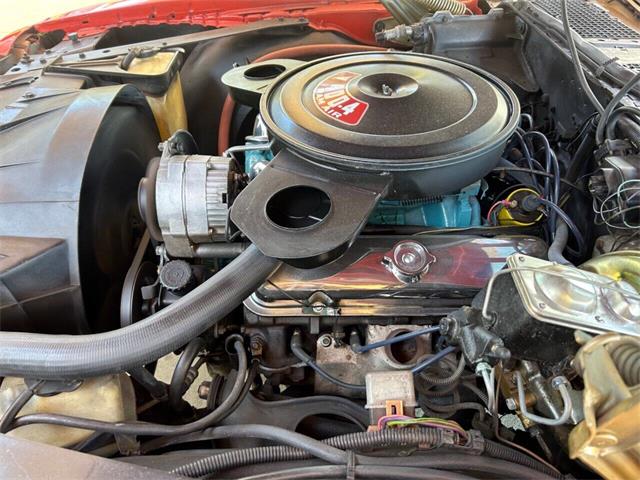 1974 Pontiac Firebird (CC-1841964) for sale in Bradenton, Florida