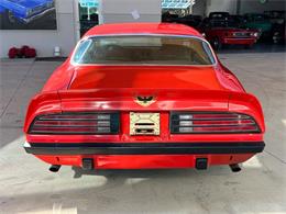 1974 Pontiac Firebird (CC-1841964) for sale in Bradenton, Florida