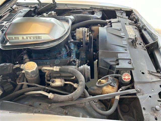 1979 Pontiac Firebird (CC-1841982) for sale in Bradenton, Florida