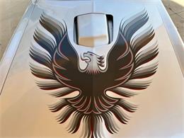 1979 Pontiac Firebird (CC-1841982) for sale in Bradenton, Florida