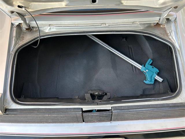 1979 Pontiac Firebird (CC-1841982) for sale in Bradenton, Florida