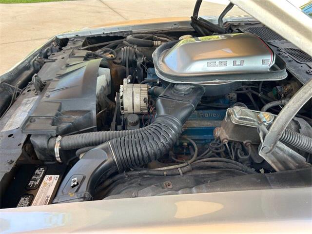 1979 Pontiac Firebird (CC-1841982) for sale in Bradenton, Florida