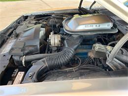 1979 Pontiac Firebird (CC-1841982) for sale in Bradenton, Florida