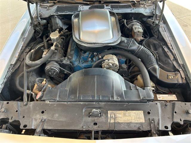 1979 Pontiac Firebird (CC-1841982) for sale in Bradenton, Florida