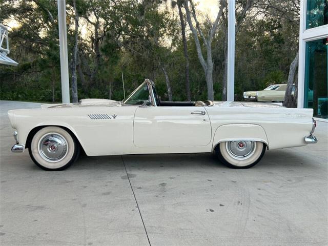 1955 Ford Thunderbird For Sale 