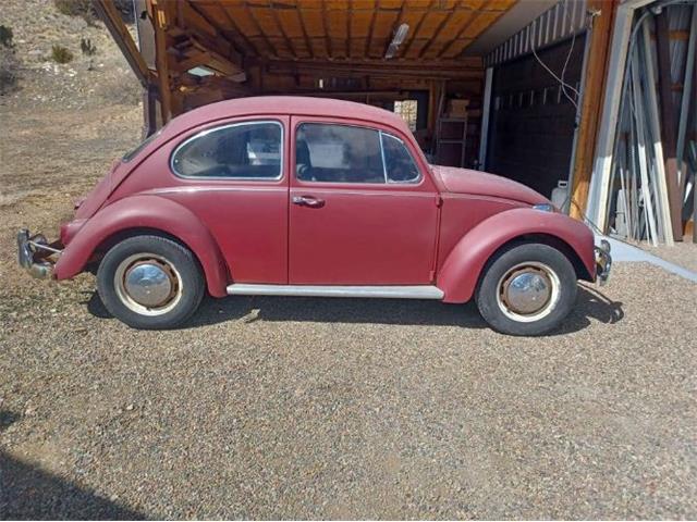 1967 Volkswagen Beetle (CC-1842328) for sale in Cadillac, Michigan