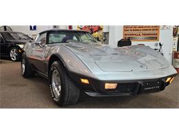 1978 Chevrolet Corvette Stingray (CC-1843928) for sale in Hudson, Florida