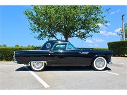 1955 Ford Thunderbird (CC-1845112) for sale in Sarasota, Florida