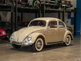 1953 Volkswagen Beetle (CC-1845135) for sale in Torrance, California
