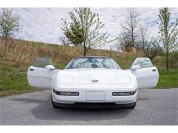 1994 Chevrolet Corvette (CC-1845315) for sale in Orwigsburg, Pennsylvania