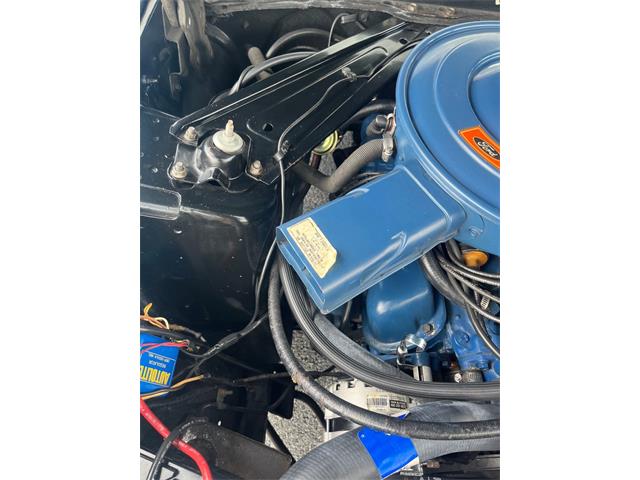1971 Ford Mustang (CC-1845324) for sale in Orwigsburg, Pennsylvania