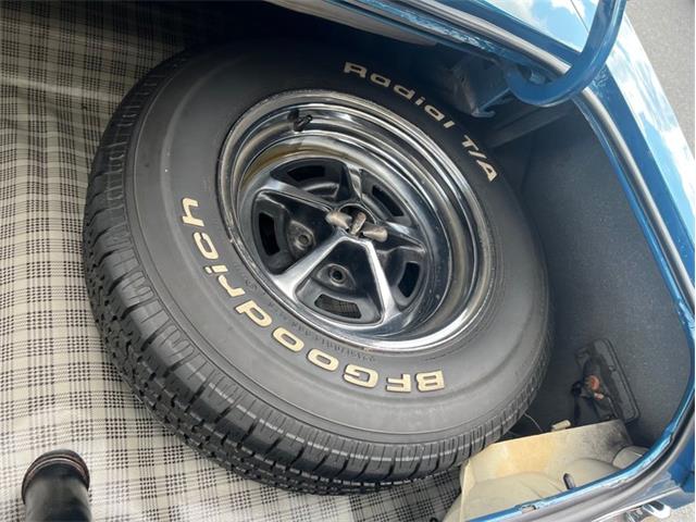 1971 Ford Mustang (CC-1845324) for sale in Orwigsburg, Pennsylvania