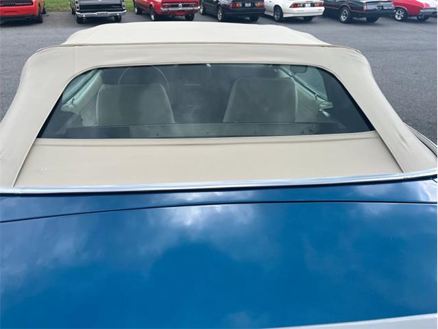 1971 Ford Mustang (CC-1845324) for sale in Orwigsburg, Pennsylvania