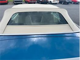 1971 Ford Mustang (CC-1845324) for sale in Orwigsburg, Pennsylvania