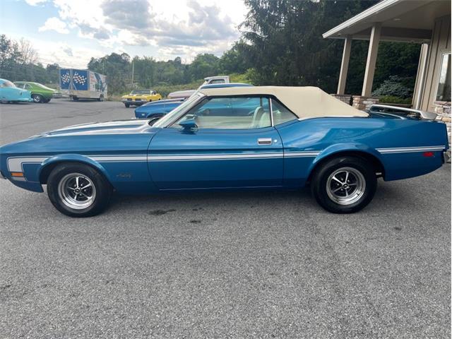 1971 Ford Mustang (CC-1845324) for sale in Orwigsburg, Pennsylvania