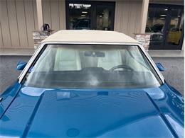1971 Ford Mustang (CC-1845324) for sale in Orwigsburg, Pennsylvania