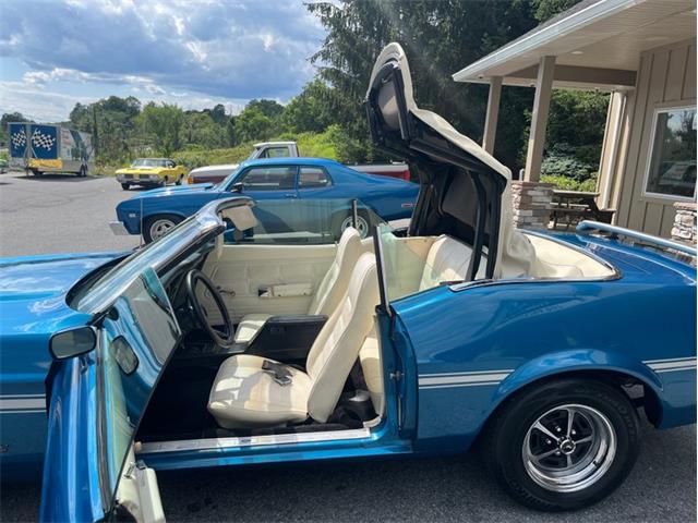 1971 Ford Mustang (CC-1845324) for sale in Orwigsburg, Pennsylvania