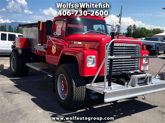 1975 International 1754 (CC-1845327) for sale in Whitefish, Montana