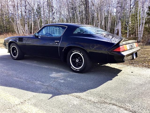 1978 Chevrolet Camaro Z28 (CC-1845665) for sale in Sudbury , Ontario