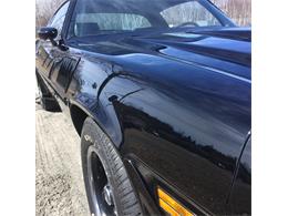1978 Chevrolet Camaro Z28 (CC-1845665) for sale in Sudbury , Ontario