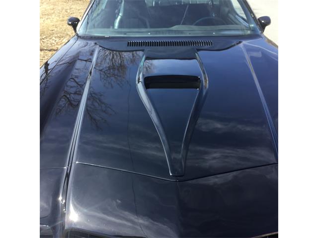 1978 Chevrolet Camaro Z28 (CC-1845665) for sale in Sudbury , Ontario