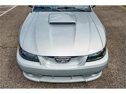 2002 Ford Mustang (Roush) (CC-1845897) for sale in Leeds, Alabama