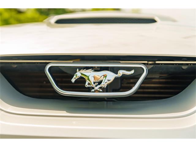 2002 Ford Mustang (Roush) (CC-1845897) for sale in Leeds, Alabama